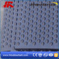 High temperature Resistance Vulcanized Neoprene Rubber Sheet